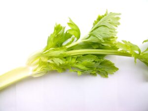 vegetable, material, green, celery, food, celery, celery, celery, celery, celery