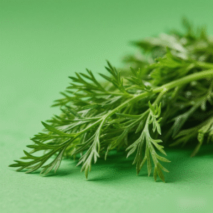 Fresh Dill