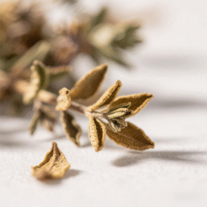 Dried thyme