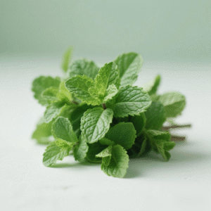 Mint leave