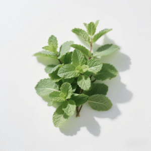 Mint eaves
