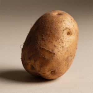 Russet potato